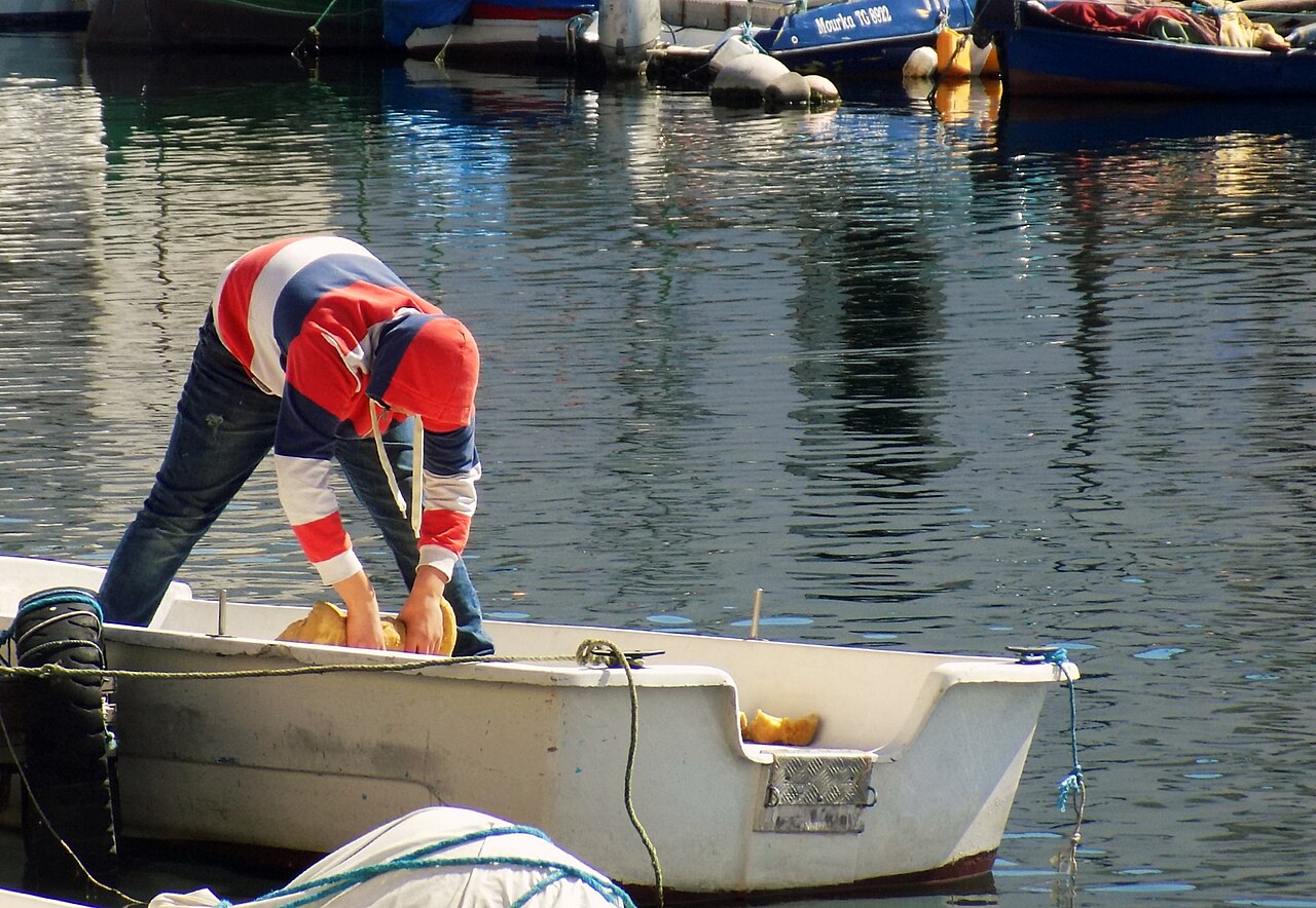 Location de bateau à Bizerte - port et bateaux