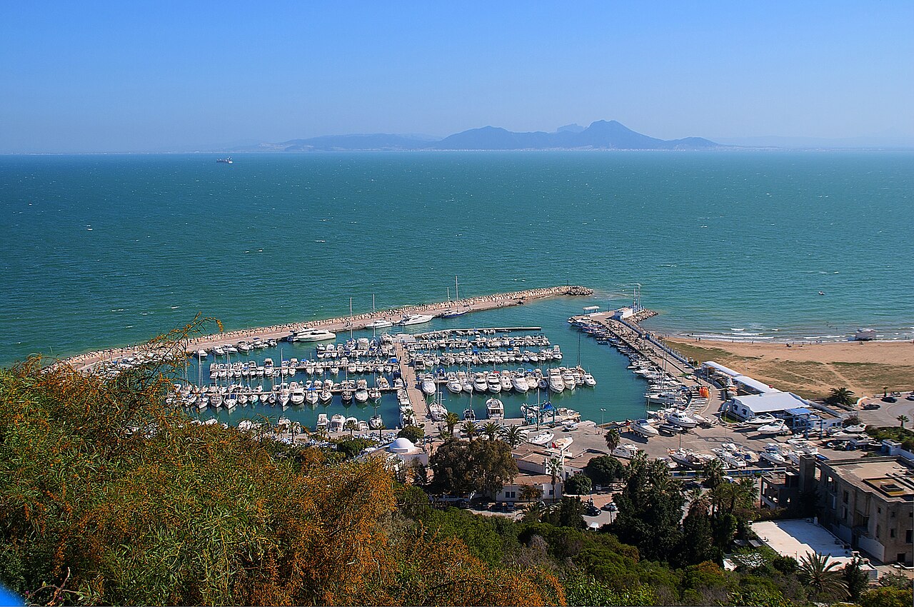 Location de bateau à Sidi Bou Saïd - port et bateaux